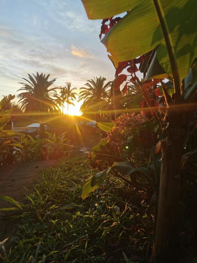 Hostal Tu'U Koihu Hanga Roa Exterior photo