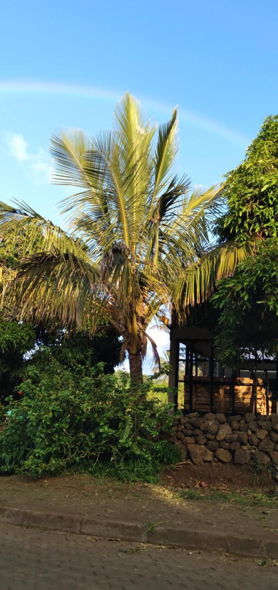 Hostal Tu'U Koihu Hanga Roa Exterior photo